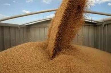 Скупщик фуражного зерна из Минского района за два года не уплатил свыше 400 тыс. рублей налогов