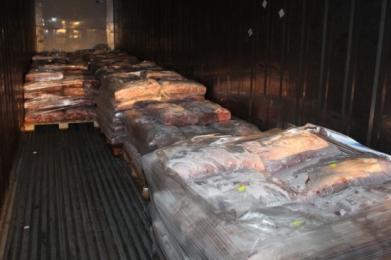Финансовой милицией Комитета госконтроля задержаны крупные партии мяса говядины, нелегально перевозимого по поддельным документам