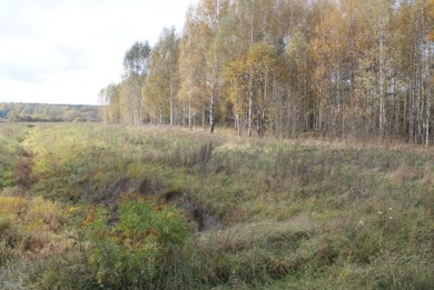 Комитет госконтроля Могилевской области выявил неэффективное использование бюджетных средств, выделенных на известкование почв