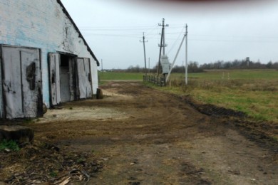 Комитет госконтроля выявил недостатки в подготовке животноводческих ферм к зиме