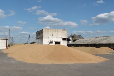 Кричевское общество с ограниченной ответственностью недоплатило более 130 тыс. рублей налогов от реализации зерна в Беларуси и России