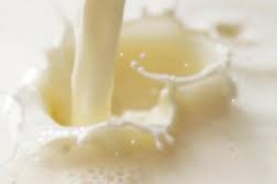 Руководители цеха ОАО «Молочный мир» приказали слить в канализацию более 19 тыс.т непроданной творожной сыворотки