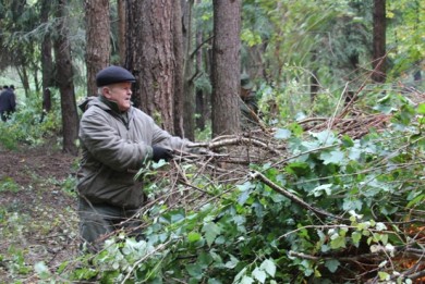 Работники Комитета госконтроля приняли участие в республиканской акции «Чистый лес»