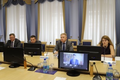 Representatives of the State Control Committee took part in the SCEI Expert Group Webinar