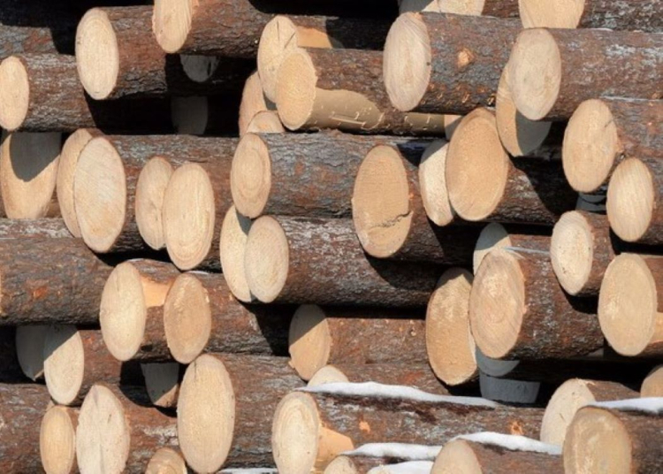 The State Control Committee checked the use of business timber purchased by individuals for the purpose of building houses and outbuildings