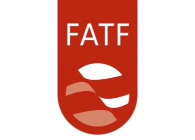 Delegation of Financial Intelligence of Belarus participated in the FATF Plenary meeting
