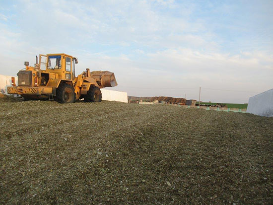 В Комитете государственного контроля Гродненской области на постоянном контроле находится ход уборки трав и заготовки кормов.