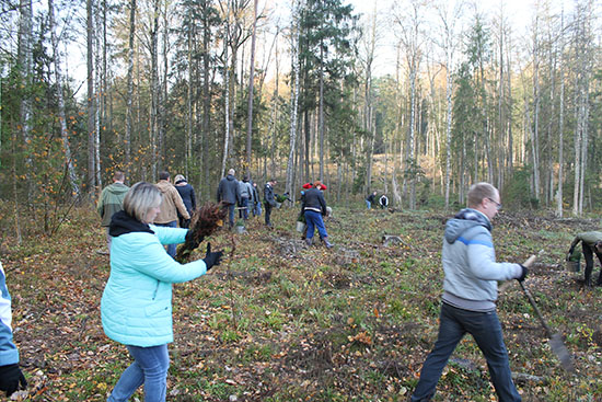 Работники Комитета государственного контроля Гродненской области приняли участие в акции «Чистый лес».