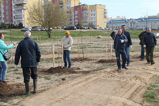 Работники Комитета государственного контроля Гродненской области приняли участие в республиканском субботнике.