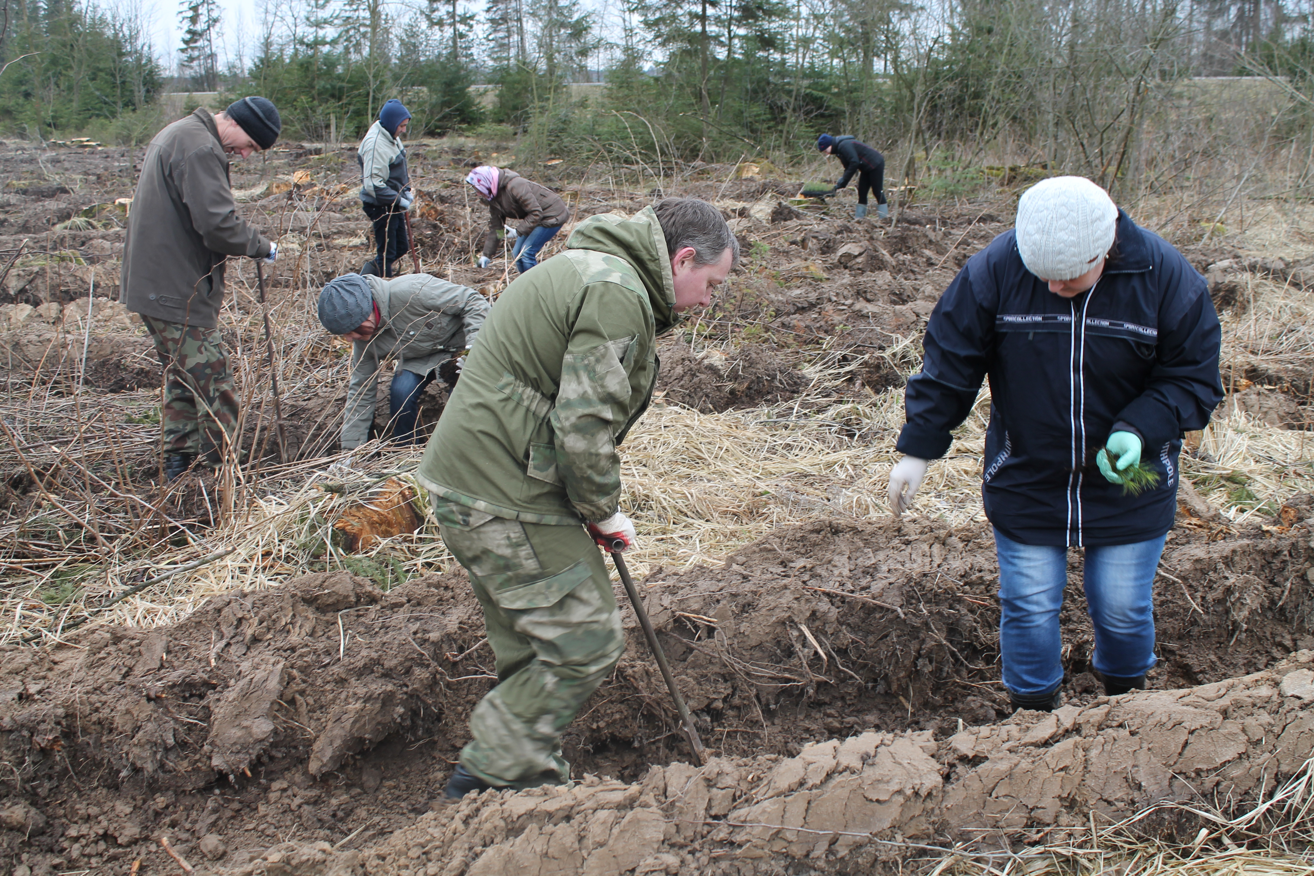 Работники Комитета госконтроля Могилевской области приняли участие в десятой юбилейной республиканской акции «Неделя леса»