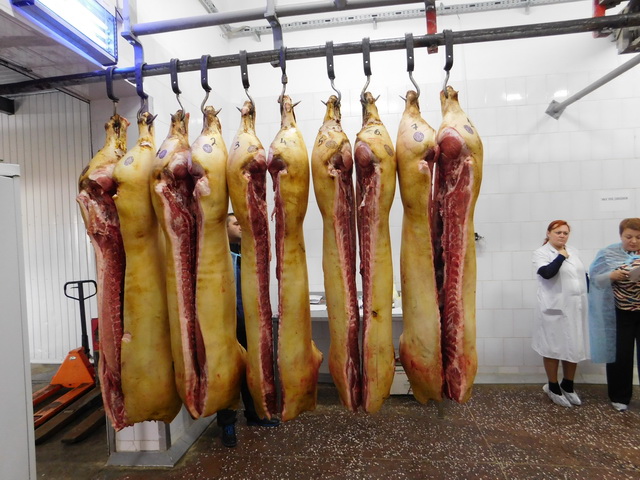 Проверки качества производства и реализации свинины на рынках г. Гомеля