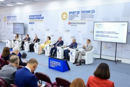На полях Петербургского международного экономического форума состоялась панельная сессия «Глобальные финансовые риски – новые вызовы для внешнего аудита»